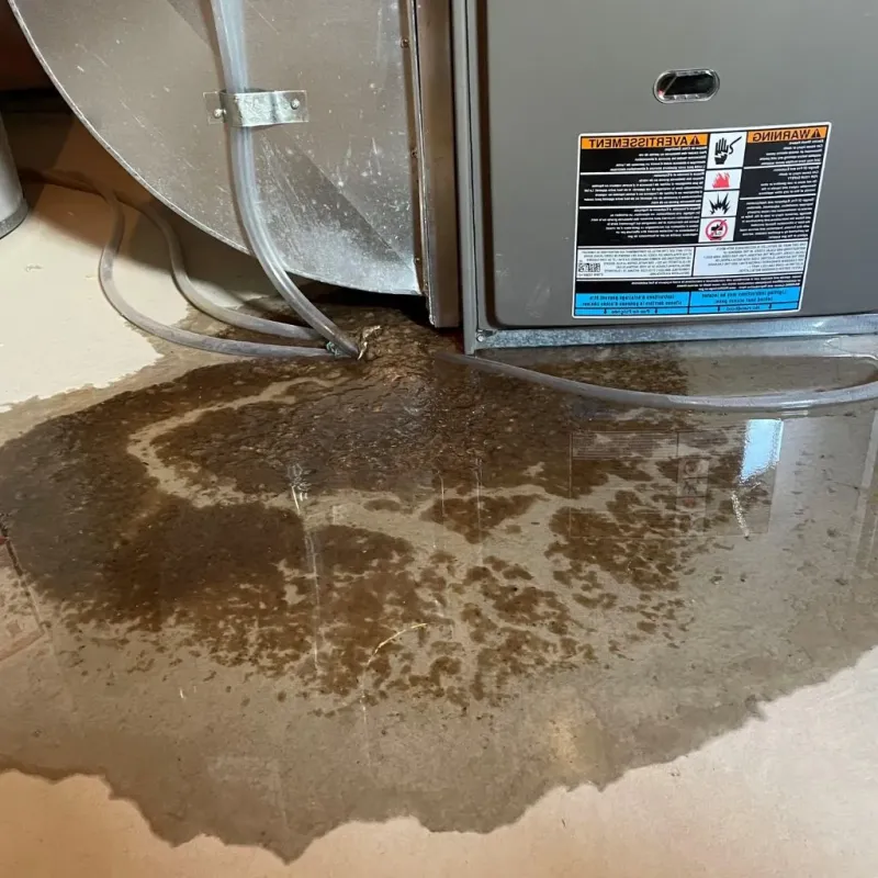 Pipe Burst and Leak Restoration in Billings, MT